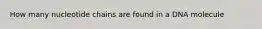 How many nucleotide chains are found in a DNA molecule