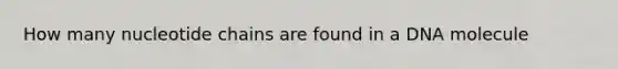 How many nucleotide chains are found in a DNA molecule