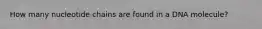 How many nucleotide chains are found in a DNA molecule?