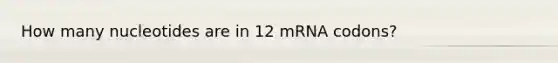 How many nucleotides are in 12 mRNA codons?