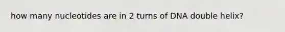 how many nucleotides are in 2 turns of DNA double helix?