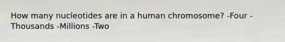 How many nucleotides are in a human chromosome? -Four -Thousands -Millions -Two