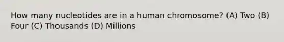 How many nucleotides are in a human chromosome? (A) Two (B) Four (C) Thousands (D) Millions