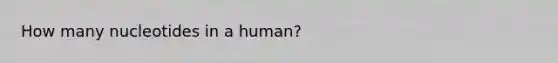 How many nucleotides in a human?