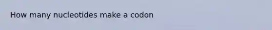 How many nucleotides make a codon