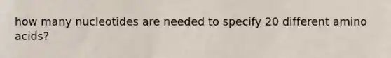 how many nucleotides are needed to specify 20 different amino acids?