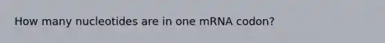 How many nucleotides are in one mRNA codon?