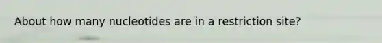 About how many nucleotides are in a restriction site?