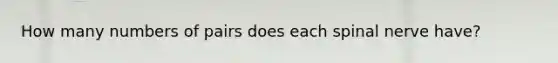 How many numbers of pairs does each spinal nerve have?