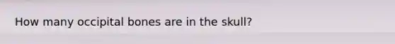 How many occipital bones are in the skull?