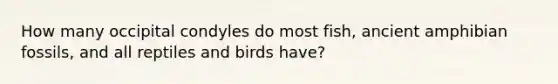 How many occipital condyles do most fish, ancient amphibian fossils, and all reptiles and birds have?