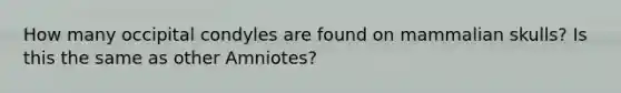 How many occipital condyles are found on mammalian skulls? Is this the same as other Amniotes?