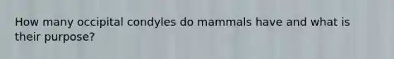 How many occipital condyles do mammals have and what is their purpose?