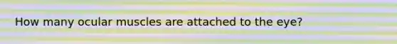 How many ocular muscles are attached to the eye?