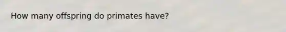 How many offspring do primates have?