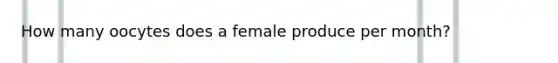 How many oocytes does a female produce per month?