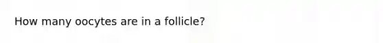 How many oocytes are in a follicle?