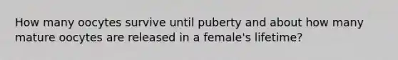 How many oocytes survive until puberty and about how many mature oocytes are released in a female's lifetime?