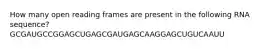 How many open reading frames are present in the following RNA sequence? GCGAUGCCGGAGCUGAGCGAUGAGCAAGGAGCUGUCAAUU