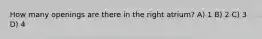 How many openings are there in the right atrium? A) 1 B) 2 C) 3 D) 4