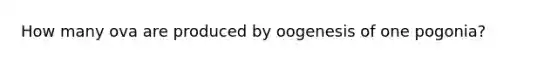 How many ova are produced by oogenesis of one pogonia?