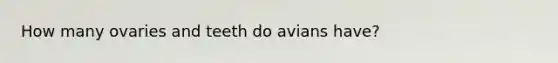 How many ovaries and teeth do avians have?