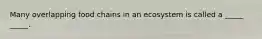 Many overlapping food chains in an ecosystem is called a _____ _____.