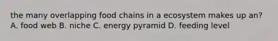 the many overlapping food chains in a ecosystem makes up an? A. food web B. niche C. energy pyramid D. feeding level