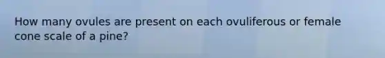 How many ovules are present on each ovuliferous or female cone scale of a pine?