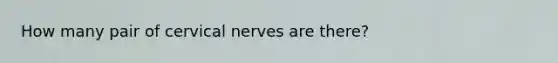 How many pair of cervical nerves are there?