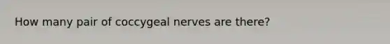 How many pair of coccygeal nerves are there?