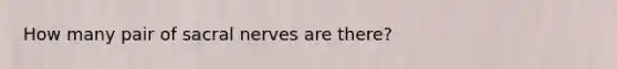 How many pair of sacral nerves are there?