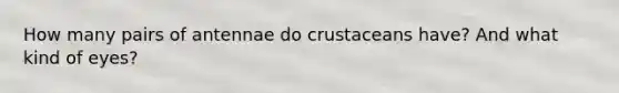 How many pairs of antennae do crustaceans have? And what kind of eyes?