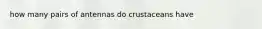 how many pairs of antennas do crustaceans have