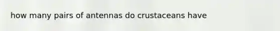 how many pairs of antennas do crustaceans have