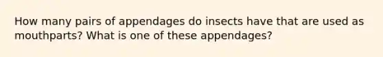 How many pairs of appendages do insects have that are used as mouthparts? What is one of these appendages?