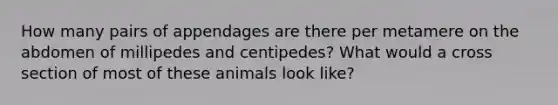 How many pairs of appendages are there per metamere on the abdomen of millipedes and centipedes? What would a cross section of most of these animals look like?