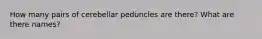 How many pairs of cerebellar peduncles are there? What are there names?