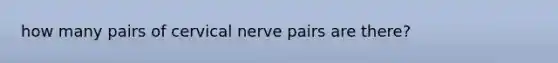 how many pairs of cervical nerve pairs are there?