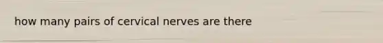 how many pairs of cervical nerves are there