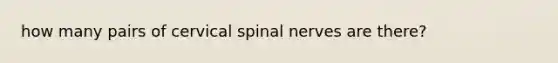 how many pairs of cervical spinal nerves are there?