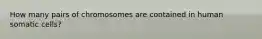 How many pairs of chromosomes are contained in human somatic cells?