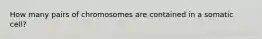 How many pairs of chromosomes are contained in a somatic cell?