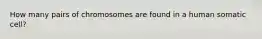 How many pairs of chromosomes are found in a human somatic cell?