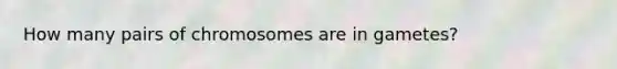 How many pairs of chromosomes are in gametes?