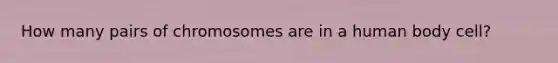 How many pairs of chromosomes are in a human body cell?