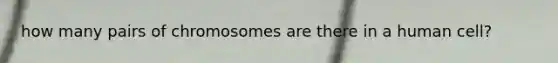 how many pairs of chromosomes are there in a human cell?