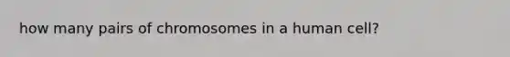how many pairs of chromosomes in a human cell?