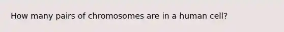 How many pairs of chromosomes are in a human cell?