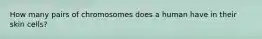How many pairs of chromosomes does a human have in their skin cells?